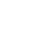 Visionaries International